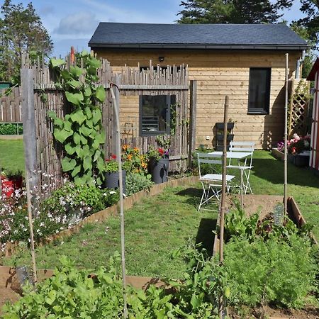 Bed and Breakfast Kerlobek Etoile Groix Esterno foto